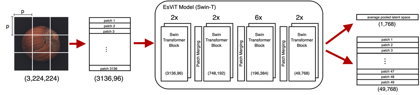 Hierarchische Vision Transformer Architektur am Beispiel des Modells EsViT