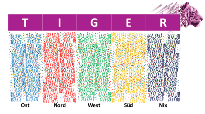 Spielplan_Gesamtstrategie